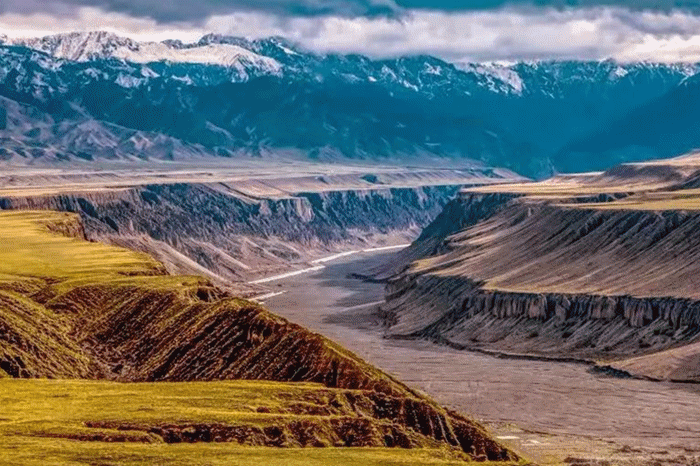 微信公众号代营